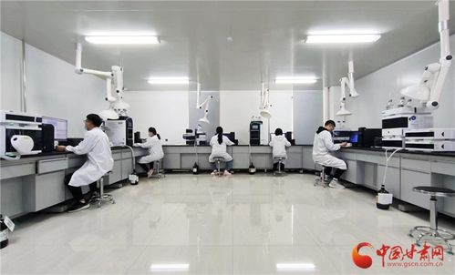 智撑陇药玩转高端局 代表委员“甘”劲十足